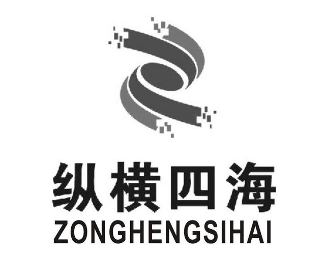 纵横四海图标