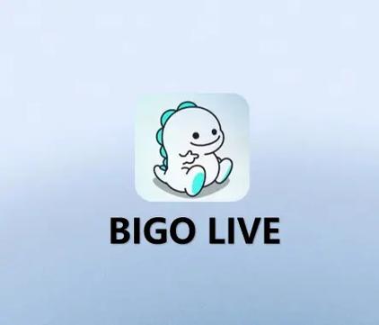 直播bigolive免费版手机正版游戏截图