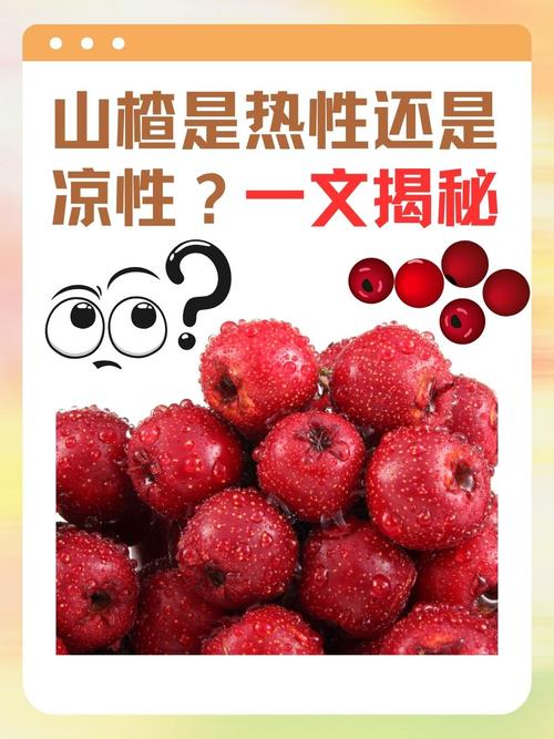 山楂视频不看不行缩略图