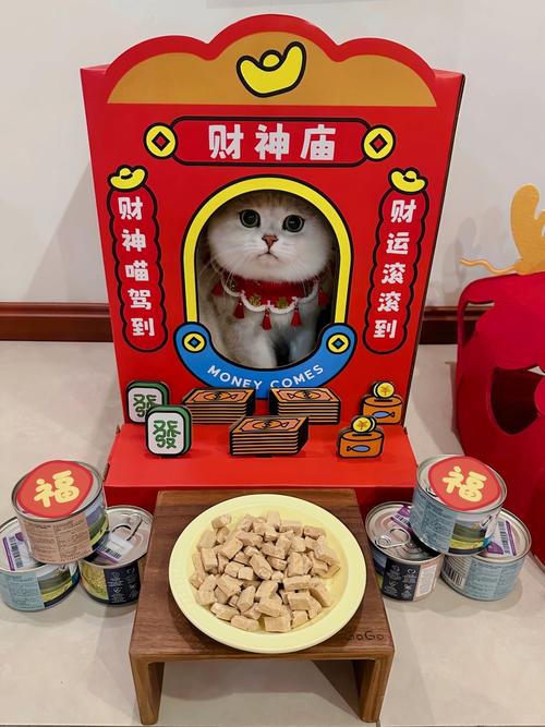 许愿猫心愿抽奖赚钱