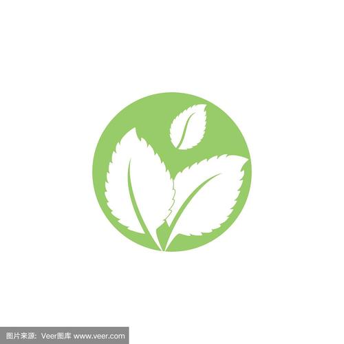 薄荷接单2020缩略图
