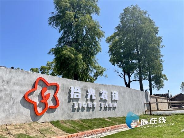 拾光农场正式版缩略图