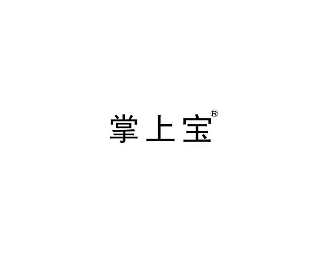 掌上宝官方版缩略图