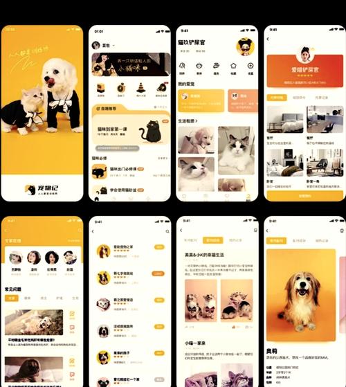 全民养宠物app