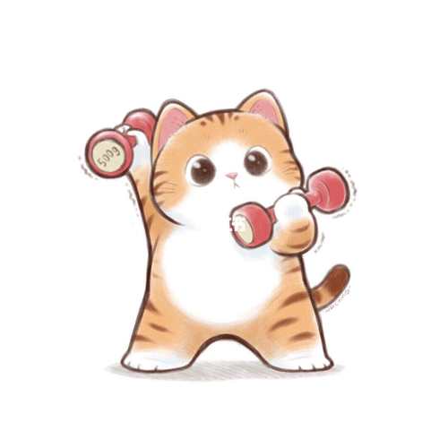疯狂健身猫福利版缩略图