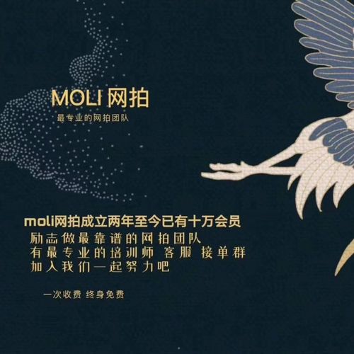 moli网拍平台缩略图