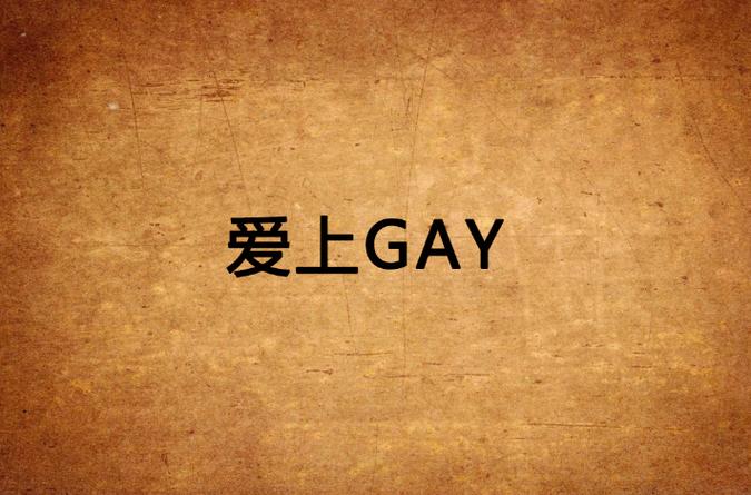 gay小说v13缩略图
