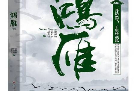 鸿雁小说2019图标