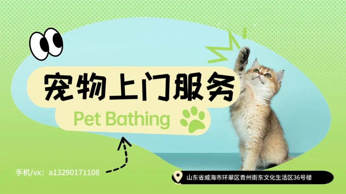天天遛猫养猫赚钱缩略图