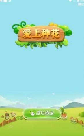 天天种花红包版2022游戏截图