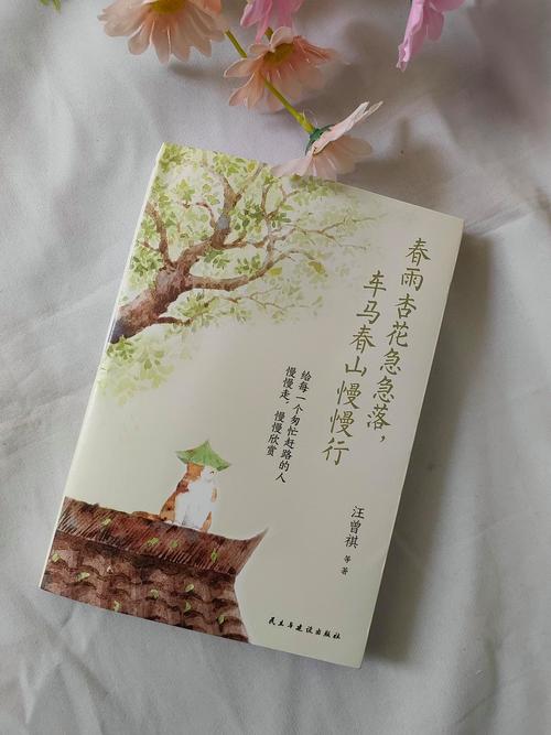 杏花小说阅读器免游戏截图
