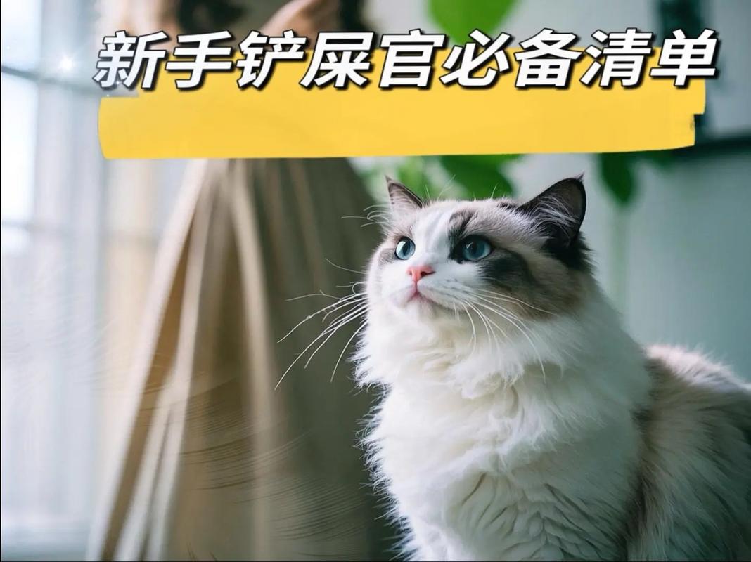 抖音小小铲屎官领游戏截图