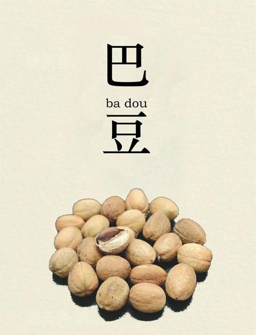 巴豆好赞手机版游戏截图