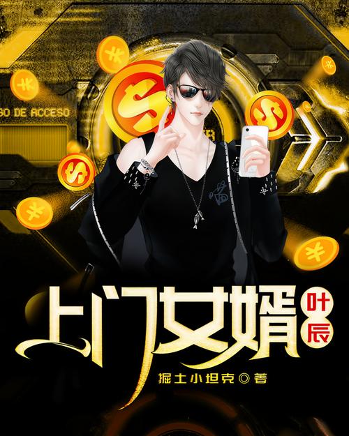 上门女婿叶辰小说缩略图