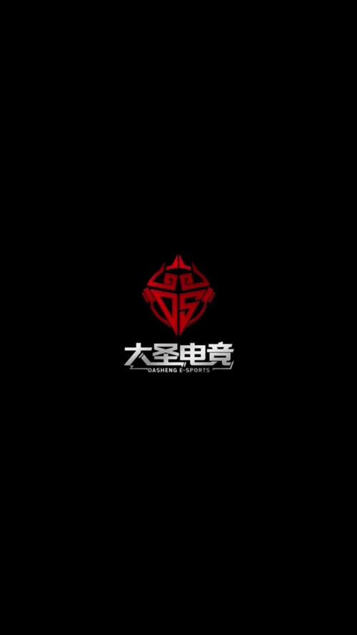 大圣电竞app官网版游戏截图