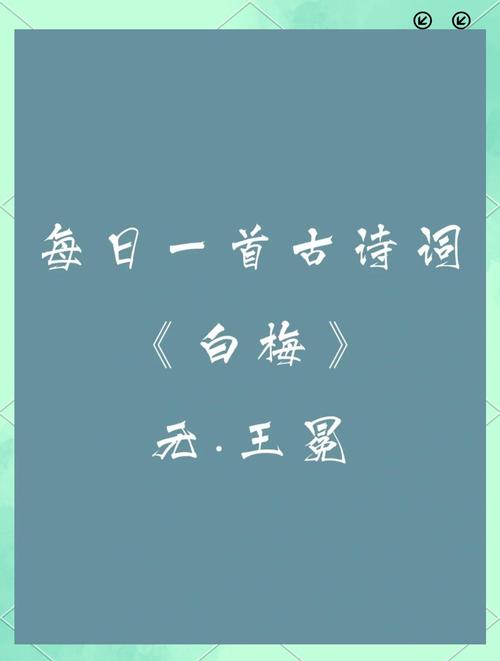 白梅小说免费阅读缩略图