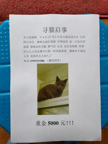 赏赚猫悬赏缩略图
