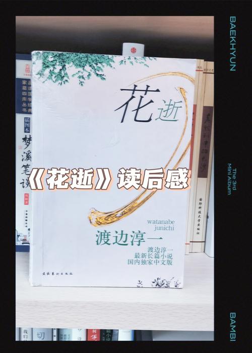 花逝小说在线阅读游戏截图