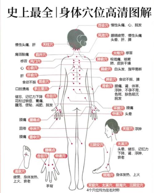 人体穴位图解手机
