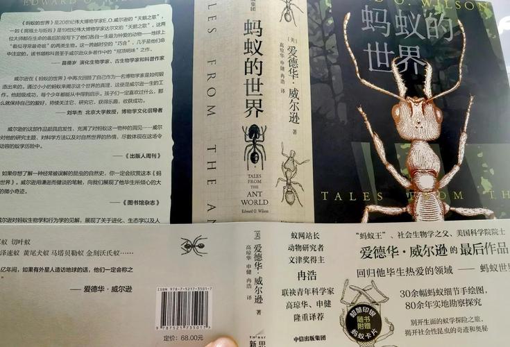 蚂蚁小说免费阅读