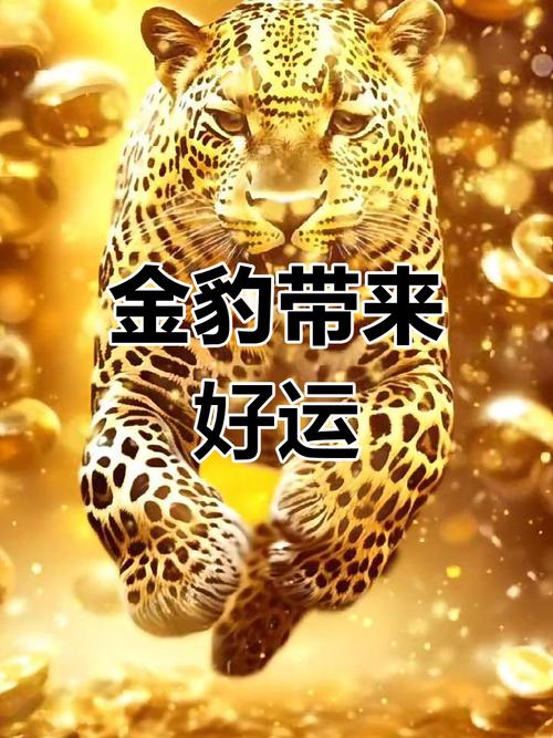 金豹赚金豹转缩略图