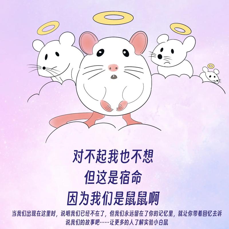 白鼠阅读转发文章缩略图