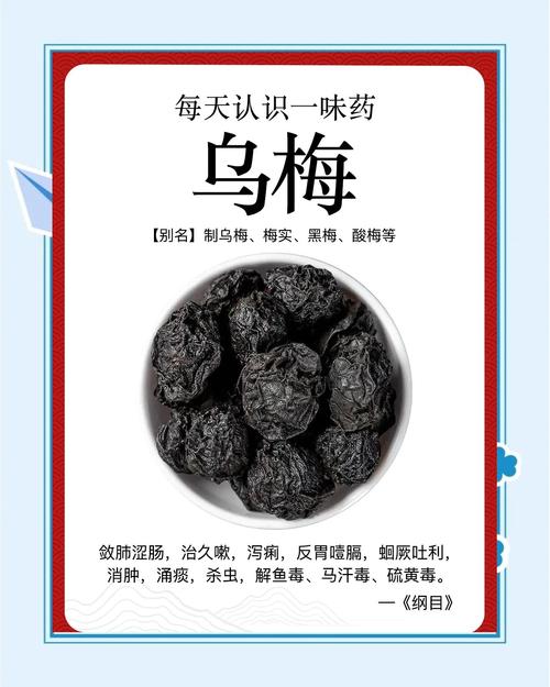 乌梅小说免费版在游戏截图
