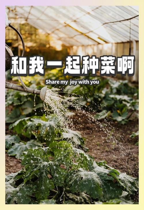 全民种菜手机种菜缩略图