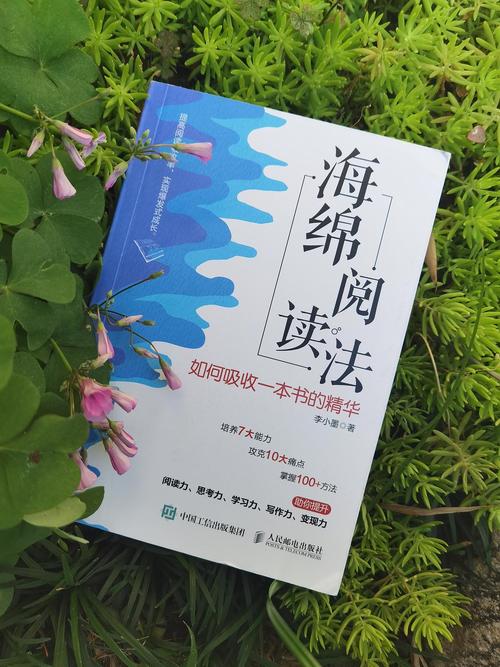海绵阅读v551缩略图
