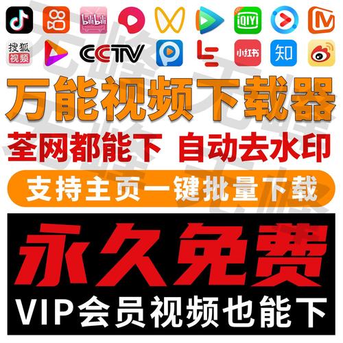 随时短视频最新版缩略图