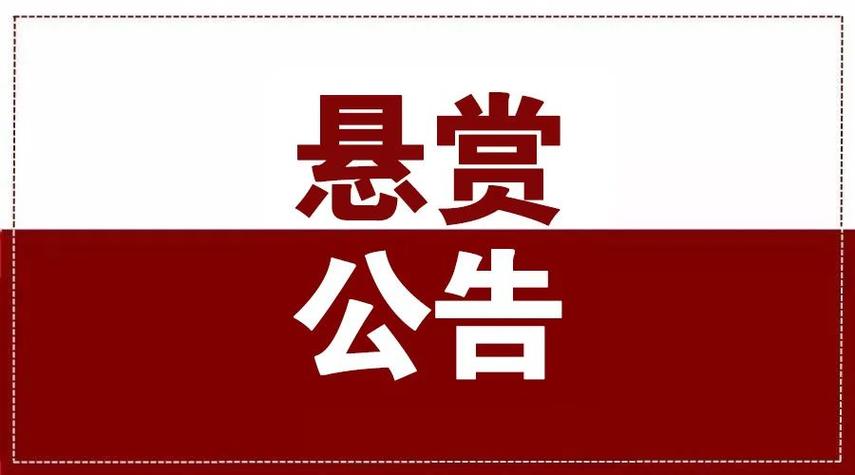 悬赏爆破游戏截图