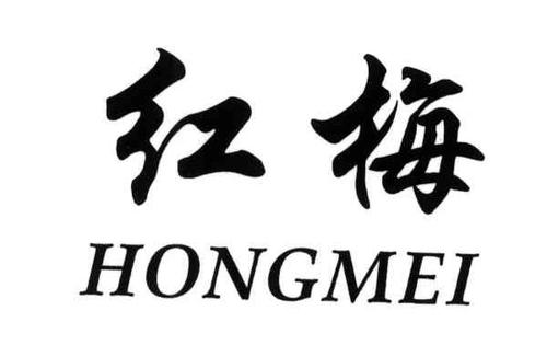 红梅小说阅读器官缩略图