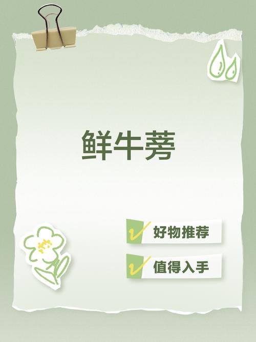 牛蒡任务平台手机缩略图