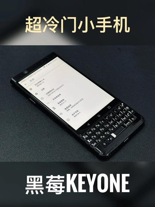 黑莓小说最新手机缩略图