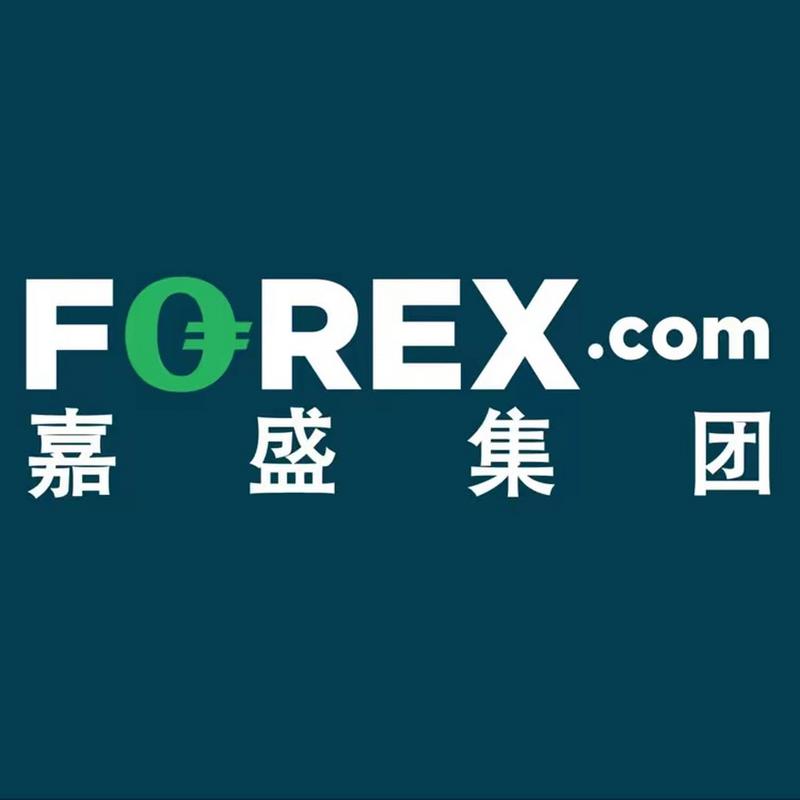 嘉盛集团手机版缩略图