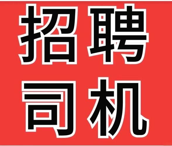 带车聘司机端图标