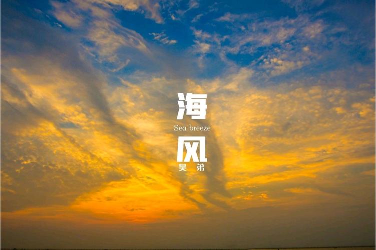 海风短视频app图标