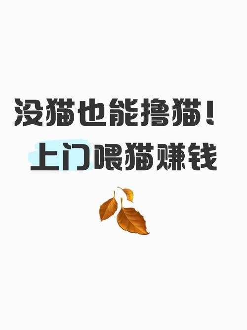 天天喂猫赚钱软件图标