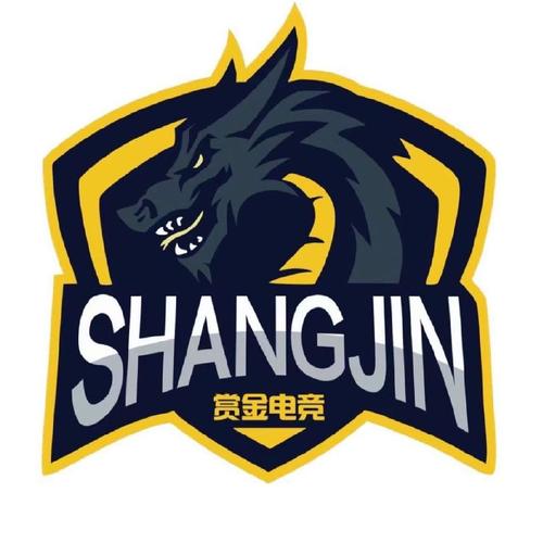 赏金电竞最新版