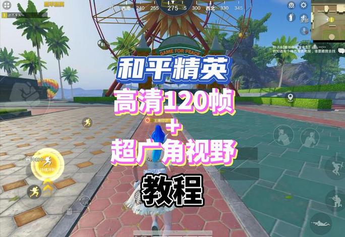 和平精英超广角鸡仙游戏截图