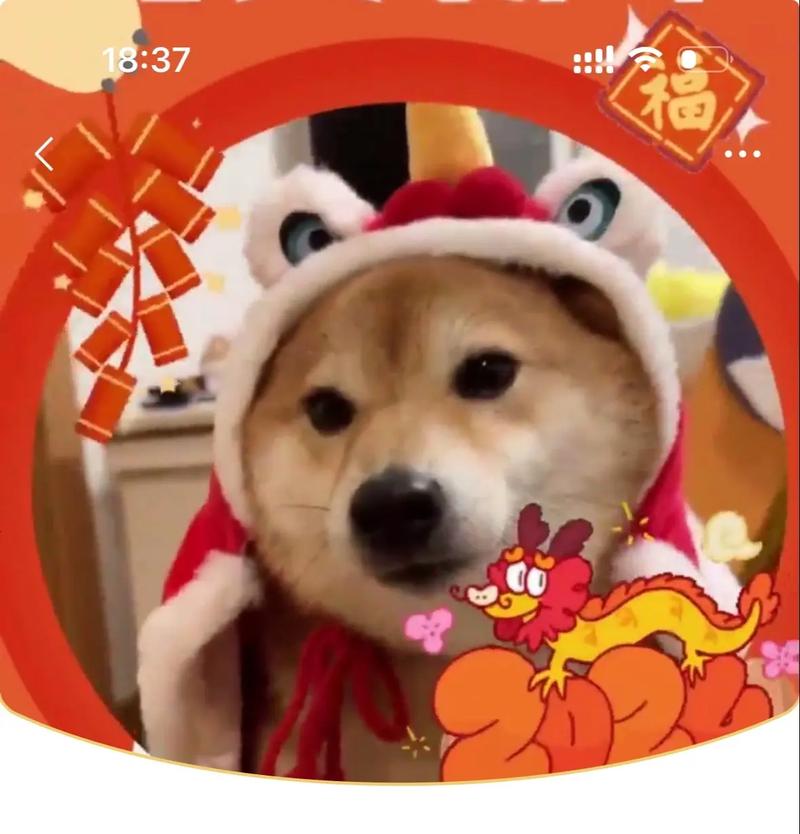 我要养狗狗红包福缩略图