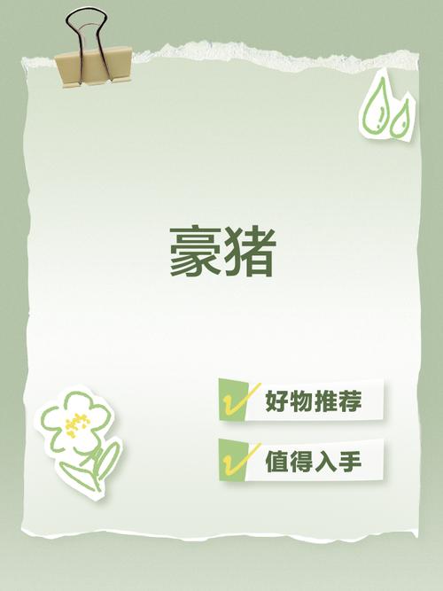 豪猪网手机赚钱官缩略图