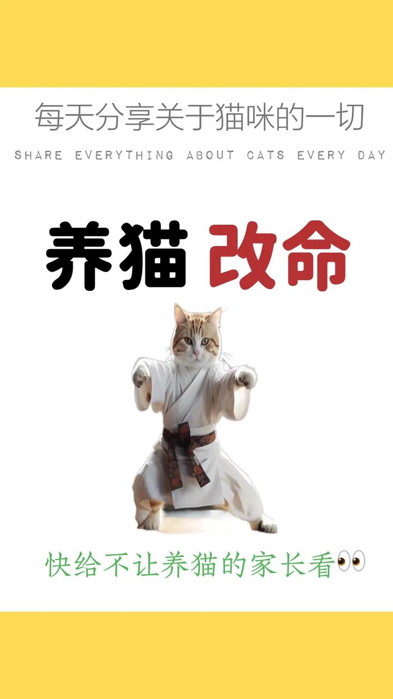 天天养猫猫养猫赚游戏截图