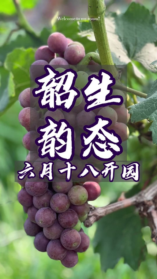 和汇生态葡萄园区游戏截图