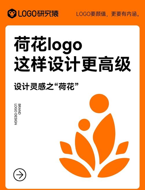 荷花热点赚钱缩略图