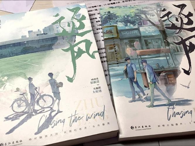 逐风阅读小说缩略图
