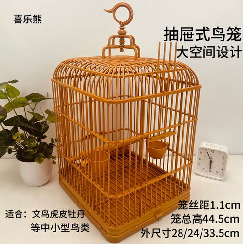 喜乐鸟安卓版