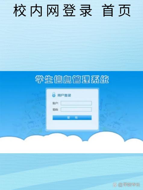 睿云网查分学生登游戏截图