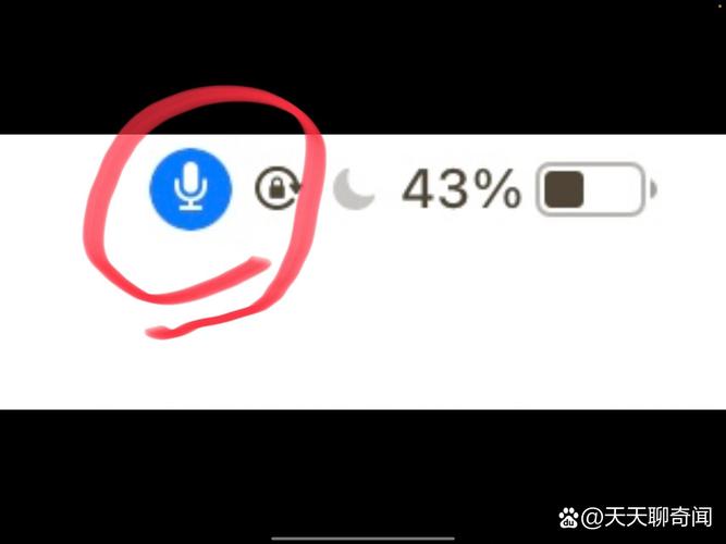 ipad右上角有个麦克风图标咋回事