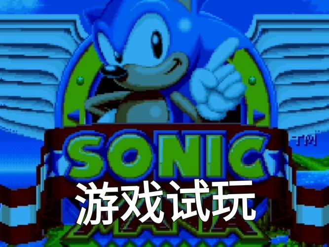 索尼克狂欢v1.1.0完整版+网飞版Steam移植游戏截图